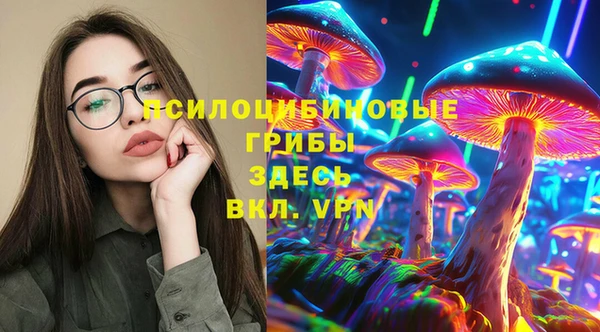 винт Лабытнанги