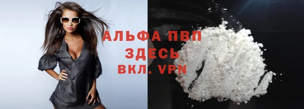 винт Лабытнанги