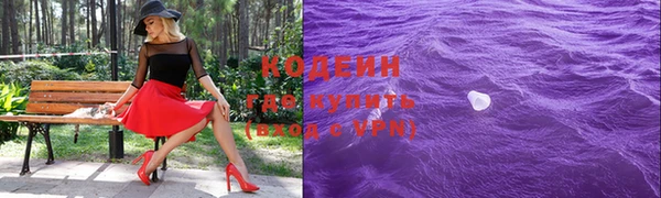 шишки Лагань