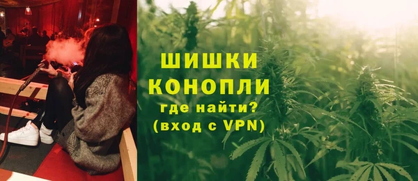шишки Лагань
