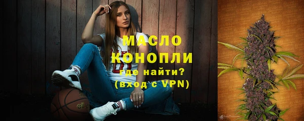 шишки Лагань
